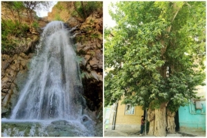 تصویر ابلاغ ثبت دو اثر طبیعی استان البرز در فهرست ثبت آثار ملی