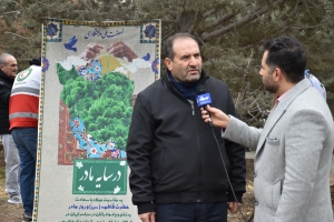 تصویر امسال در البرز بیش از ۶۰۰ هزار اصله نهال کاشته خواهد شد