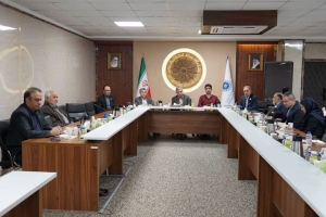 تصویر انتقال صدور پروانه فعالیت صنایع غذایی و دارویی باید ساماندهی شود