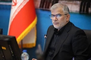 تصویر خادمان البرزی در نجف اشرف برای خدمات دهی به زائران مستقر شدند