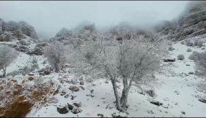 تصویر فعالیت سامانه بارشی همراه با تندباد از سه‌شنبه در البرز