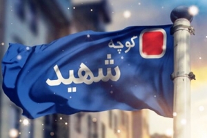 تصویر ۱۶ معبر در منطقه هفت به نام شهدا مزین شد