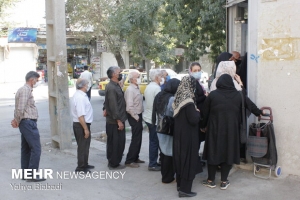 تصویر مرغ از البرز پر کشید