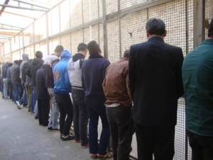 تصویر کشف 19 دستگاه خودرو مسروقه درکرج