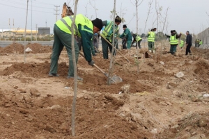 تصویر کاشت ۱۰۰۰ اصله نهال در ورودی «فرودگاه پیام»