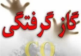 گازگرفتگی جان پیرمرد60 ساله را گرفت