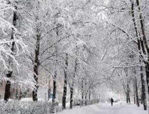 تصویر فرماندار چهارباغ از معاونت خدمات شهری شهرداری چهارباغ بازدید کرد