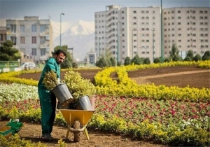 تصویر منطقه شش به استقبال بهار می‌رود