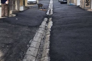تصویر آسفالت خیابان «چشمه» در منطقه هشت بهسازی شد