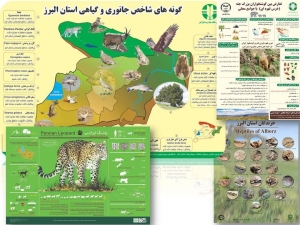 تصویر پوسترهای اینفوگرافی تنوع زیستی و جانوری البرز در فضای مجازی منتشر شد
