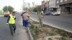 تصویر اجرای رینگ فضای سبز در حاشیه جنوبی بلوار شهید ایرانی