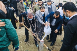 تصویر آغاز نهضت کاشت گسترده درخت میوه در پارکها و جنگلکاری های کرج از امسال