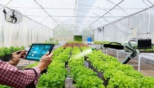 تصویر شمار شرکت های دانش بنیان بخش کشاورزی باید پنج برابر شود