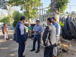 تصویر توسعه فضای سبز ، افزایش سرانه ها  در دستور کار قراردارد
