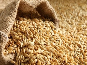تصویر کشف ۲ هزار تن گندم احتکاری در البرز
