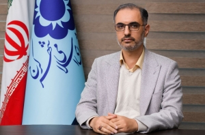 تصویر ضرورت ساماندهی توقف خودروها در حاشیه خیابان شهید بهشتی