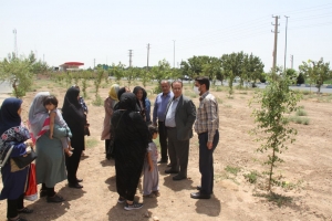 تصویر بازدید مهندس یعقوبی شهردار هشتگرد از بخش جنوبی شهرک کوثر