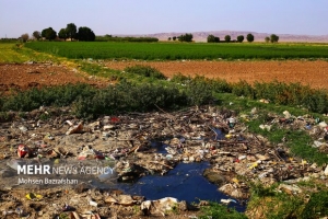 تصویر سیاه‌جوی بلای سلامتی محمدشهری‌ها