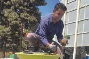 تصویر کاشت ۲۱ هزار گل، به‌منظور تغییر پوشش گیاهی در عرصه‌های فضای سبز