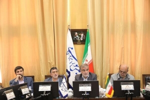 تصویر محدودیت برای استانداران و شهرداران به منظور کاندیداتوری در انتخابات مجلس