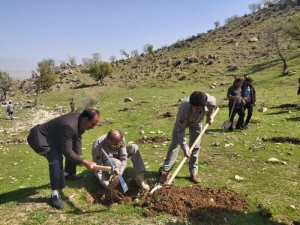 تصویر مسوولان برای کمک به اجرای طرح آبخیز شهری درنگ نکنند