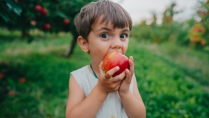 تصویر ۶ خوراکی خانگی برای تیزبین شدن کودکان مدرسه‌ای