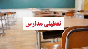 تصویر آیا آنفلوآنزا مدارس را به تعطیلی می‌کشاند؟