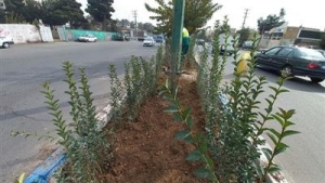 تصویر با تخصیص 2 میلیارد ریال ، بهسازی ورودی و خروجی کمالشهر  طی 3 مرحله انجام می پذیرد