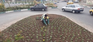 تصویر ضرورت ارتقای فرهنگ حفظ و توسعه فضای سبز شهری در بین شهروندان