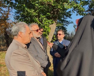 تصویر جنگل های شمال نیمی از آب مورد نیاز جمعیت کشور را تولید می کنند