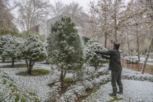 تصویر قول داده بودی با اولین برف به خیابان برویم...