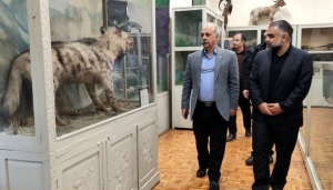 تصویر رایزنی برای بازگشایی موزه جانورشناسی انجام می‌شود