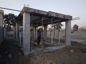 تصویر مرکز کاشت و تولید گل و گیاه در فردیس احداث می شود