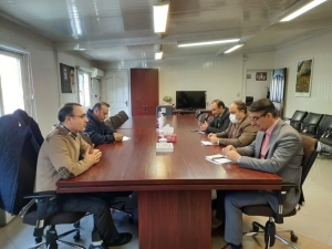 تصویر 50 درصد از واحدهای مسکونی روستایی مقاوم سازی شده است