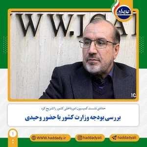 تصویر بررسی بودجه وزارت کشور با حضور وحیدی