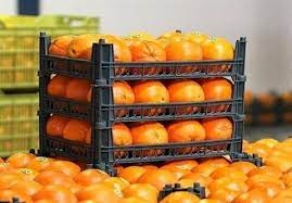 توزیع میوه شب عید در کرج از ۲۵ اسفند آغاز میشود