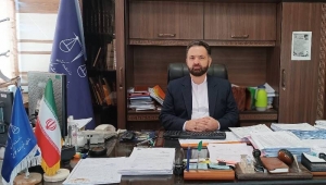 تصویر پرونده یک هزارو ۵۴۶ نانوایی متخلف البرز به تعزیرات حکومتی ارجاع شد