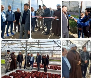 تصویر افتتاح یک واحدگلخانه ای سبزی و صیفی در سرحدآباد شهرستان فردیس
