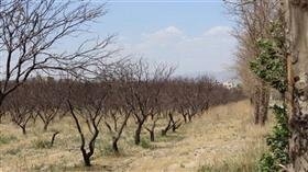 احیا و ایمنسازی قنات کلاک و جان بخشی به فضای سبز منطقه ۱۰