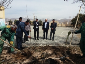 تصویر کاشت درخت در مدارس سمپاد البرز