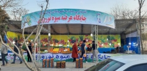 تصویر آدرس جایگاه‌های موقت عرضه میوه شب عید اعلام شد