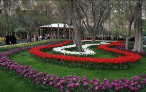 تصویر جشنواره لاله های کرج باید برند ملی در کشور شود