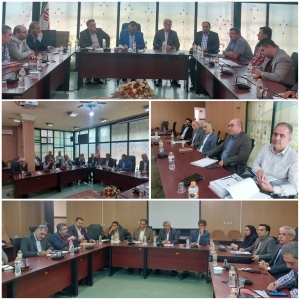 تصویر برگزاری جلسه رسیدگی به مشکل برق واحدهای تولیدی در نظرآباد