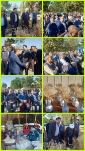 تصویر برگزاری جشن گندم در شهرستان فردیس