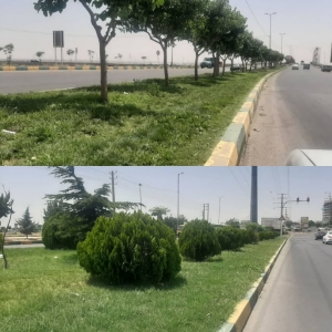 تصویر فضای سبز بلوارهای ورودی شهر احیا و زیباسازی شد