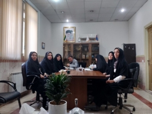 تصویر حضور مجموعه معاونت آموزش ابتدایی استان البرز در وبینار دفتر دبستانی وزارت آموزش و پرورش