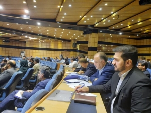 تصویر حضور مدیران کل بحران و تحول اداری در همایش کشوری مدیریت دانش