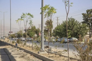 تصویر عملیات احداث فضای سبز در حاشیه جاده قزلحصار