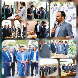 تصویر جشنواره گردو و عسل در شهرستان طالقان برگزار شد