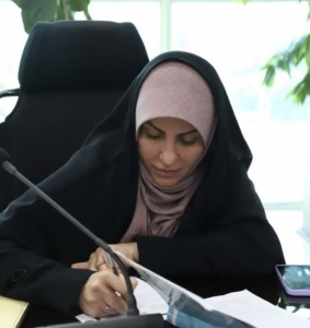 تصویر در انتصابات شهردار چیزی جز آشفتگی دیده نمی شود